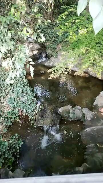 遭遇线下「扫码骗局」,我花 2 天时间挽回了 6000+ 元损失